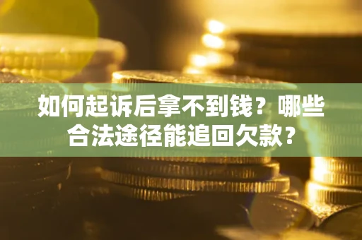 武汉如何起诉后拿不到钱？哪些合法途径能追回欠款？