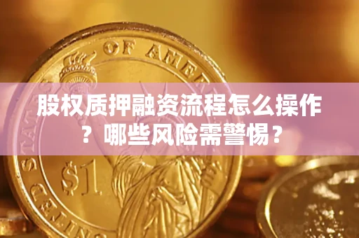 武汉股权质押融资流程怎么操作？哪些风险需警惕？