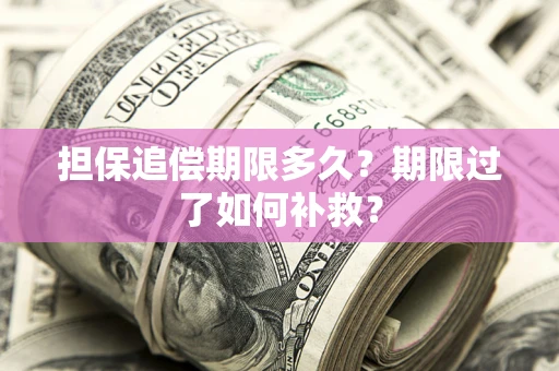 武汉担保追偿期限多久？期限过了如何补救？