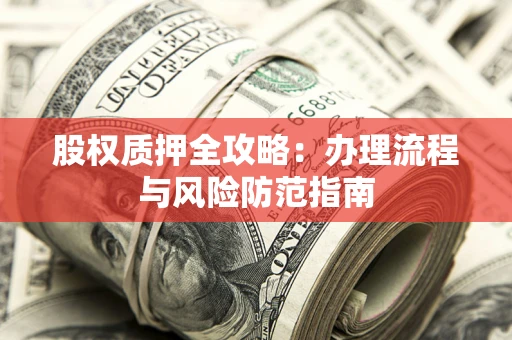 武汉股权质押全攻略：办理流程与风险防范指南